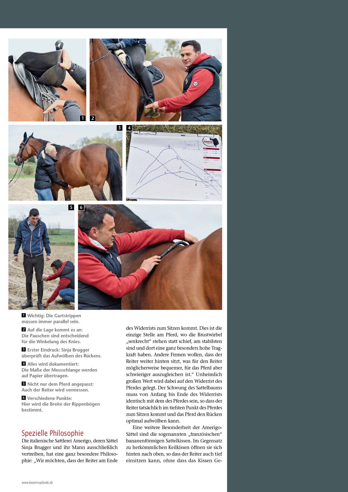 Reportage_Sattel_06_2016-2